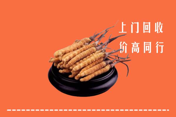 高价求购：曾都区回收散虫草